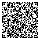 QR код "Игрушка"