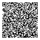 QR код "Рикошет"