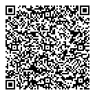 QR код "Blesk InCare"