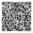 QR код "Профессионал"