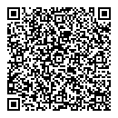QR код "33 пингвина"