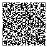 QR код "Сияние севера"