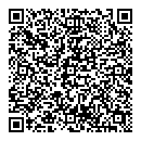 QR код "Ремикс"