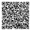 QR код "Ремикс"