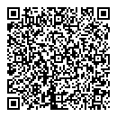 QR код "Ремикс"