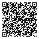 QR код "Лион"