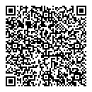 QR код "Чайка"