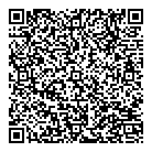 QR код "Лион"