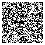 QR код "Вулкан"