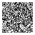 QR код "Vinci"