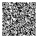 QR код "Blitz"
