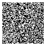 QR код "Сокол Тысячелетия"