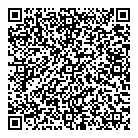 QR код "Dolgi-dolgi"
