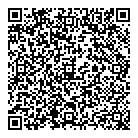 QR код "Барс"