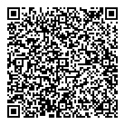QR код "Netix"