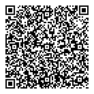QR код "Домино"