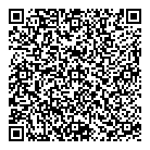 QR код "Звездочка"