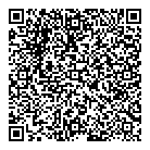 QR код "Алем PS 4"