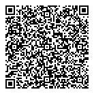 QR код "Профессионал"