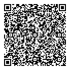 QR код "Домисолька"