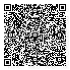 QR код "Звездный"