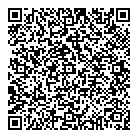 QR код "Мир шаров"