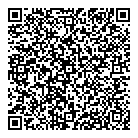 QR код "Игрушка"