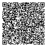 QR код "Кот бегемот"