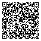 QR код "Созвездие"