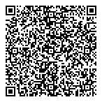 QR код "Профессионал"