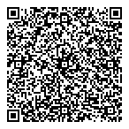 QR код "Фрисби"