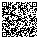 QR код "Шок"