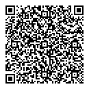 QR код "Moon Star"