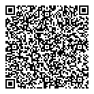 QR код "Борзов"