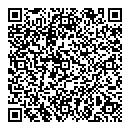 QR код "Petrol"
