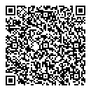 QR код "Indigo"