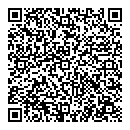 QR код "Спутник"