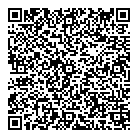 QR код "Дискобол"