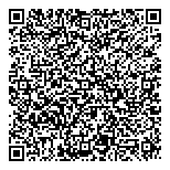 QR код "Фрисби"