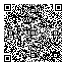 QR код "Алиса"