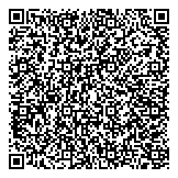 QR код "Звездный"