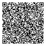 QR код "Северное сияние"