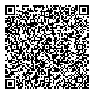QR код "Шелл"