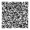 QR код "Shell"