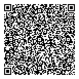 QR код "Метеорит"
