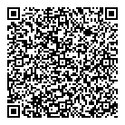 QR код "Профессионал"