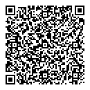 QR код "Леда"