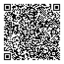 QR код "Глобус"