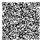QR код "Шанс-2011"