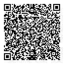 QR код "Леди сумка"